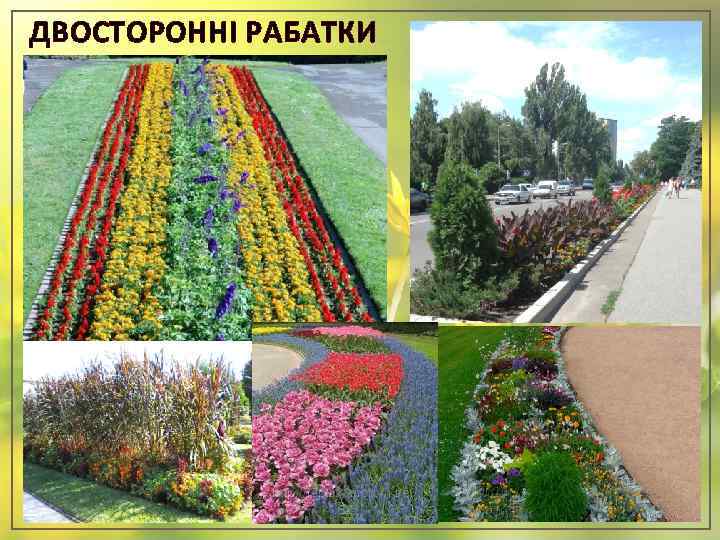 Рабатка: лучшие решения и особенности применения в рабатке цветов и растений (125 фото + видео)