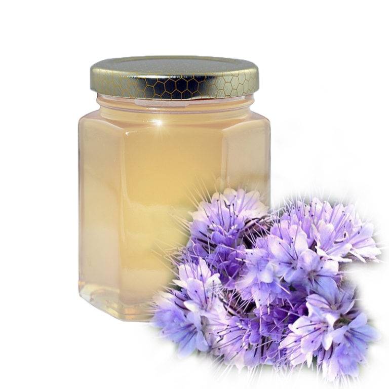 Фацелиевый мед: его особенности и полезные свойства