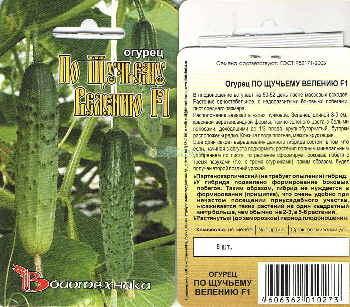 Огурцы бидретта f1: отзывы, описание сорта и фотографии, опыление, выращивание и урожайность, болезни