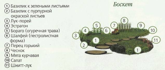 Аптекарская грядка схема