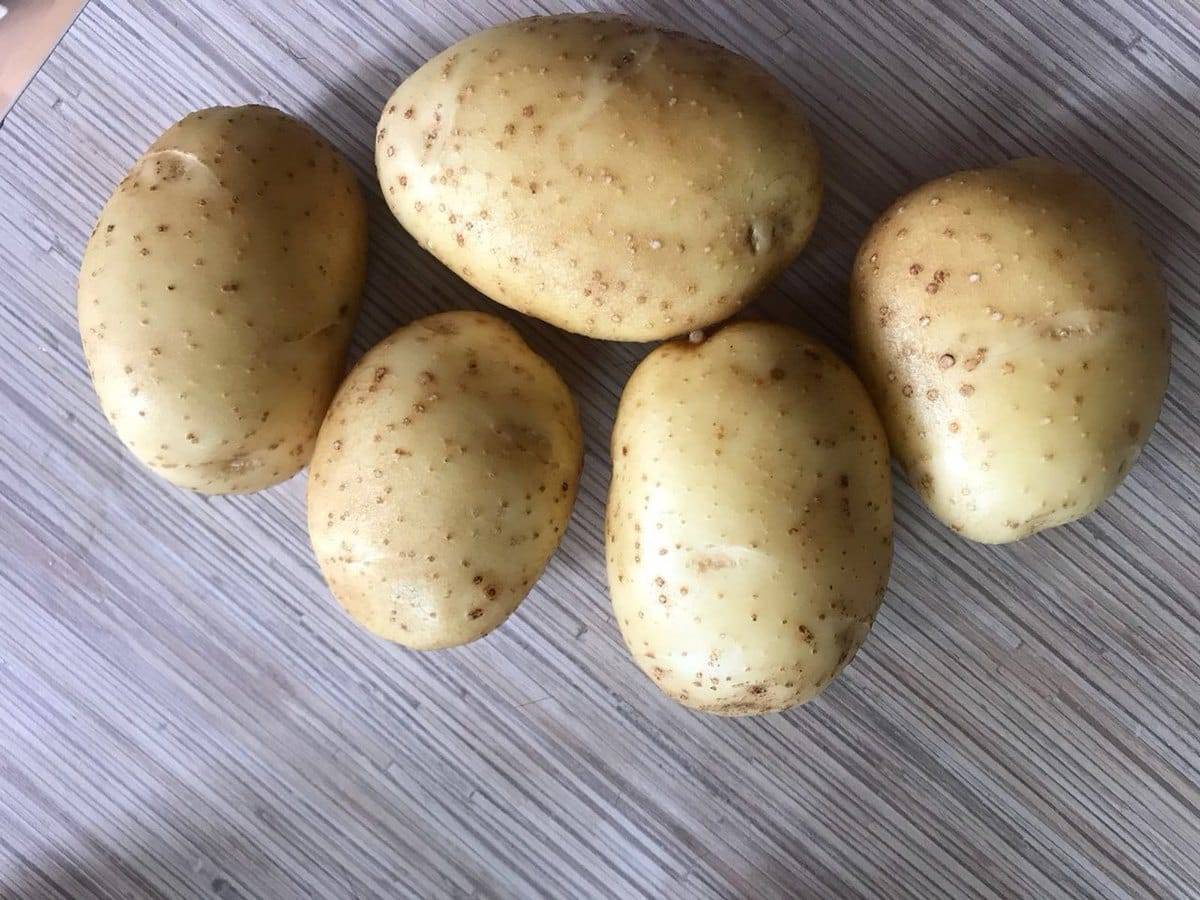 Картофель бриз: характеристика сорта, отзывы, вкусовые качества