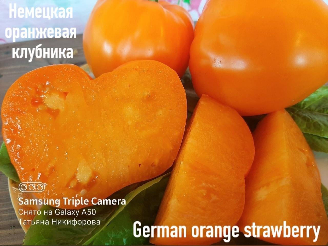 Томат оранжевая клубника
