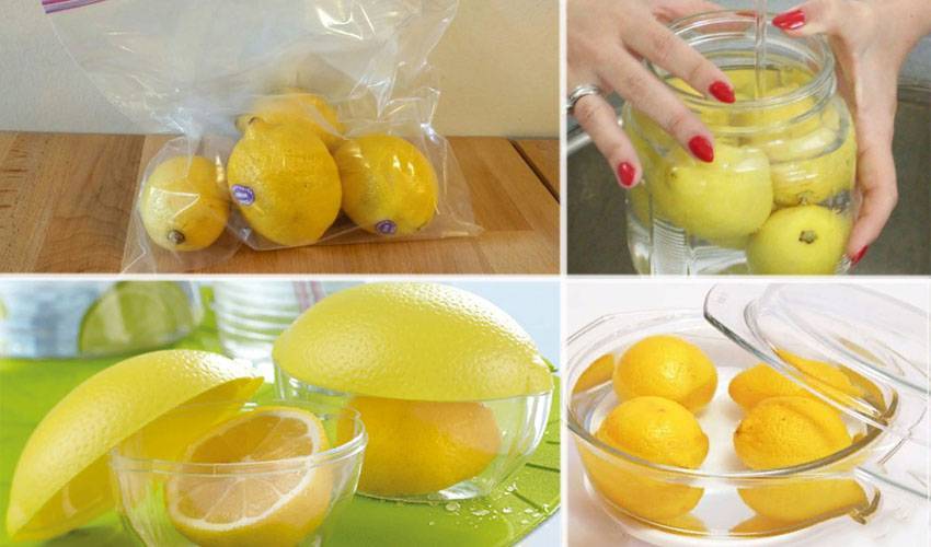 Топ 13 способов, как в домашних условиях правильно хранить лимоны, чтобы не испортились