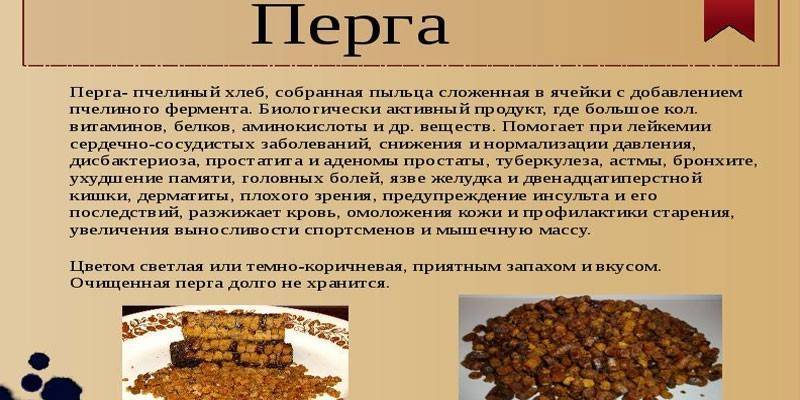 Полезные свойства пчелиной перги - medboli.ru