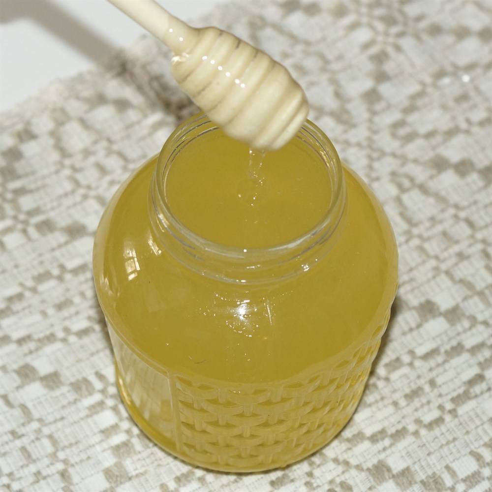 Эспарцетовый мед: полезные свойства и противопоказания