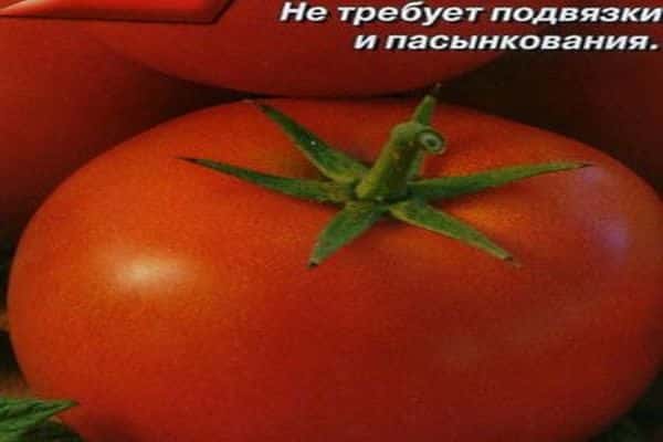 Новые сорта томатов сибирской селекции на 2022 год для открытого грунта, парника и теплицы из поликарбоната