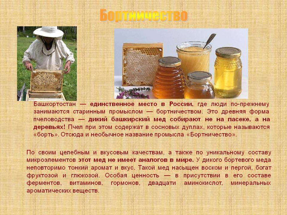 Перспективы пчеловодства башкирии