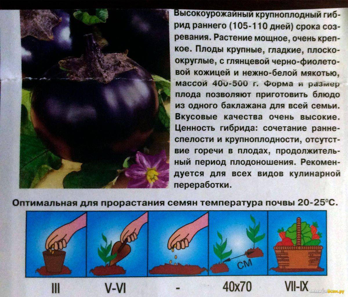 Баклажан щелкунчик: описание и характеристики сорта, выращивание и уход, отзывы с фото