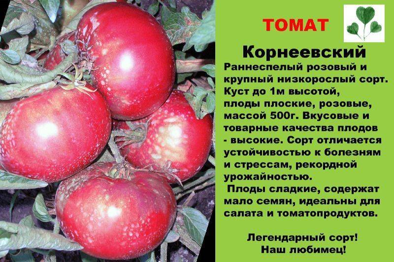 Описание томата Корнеевский, его характеристики и правила выращивания
