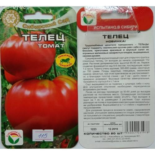 Описание сорта томат «клуша», отзывы с фото, урожайность. особенности выращивания