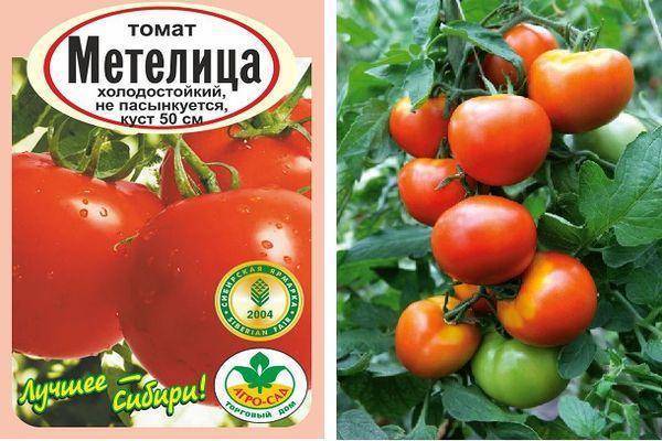Самые урожайные сорта помидоров для открытого грунта
