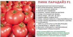 Семена томатов гавриш пинк мэджик f1 0,10 г