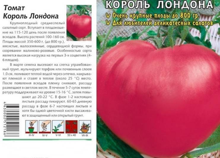 Томат медовый король: характеристика и описание сорта с фото, урожайность помидора, отзывы