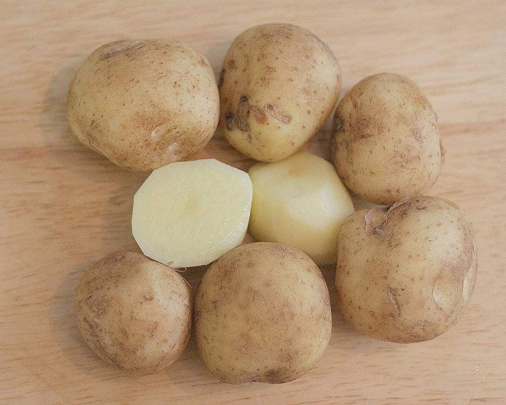 ᐉ сорт картофеля «тимо ханккиян» – описание и фото - roza-zanoza.ru