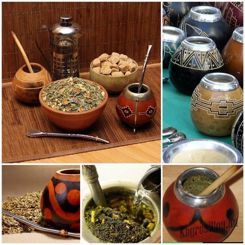 Чай мате: полезные свойства и советы экспертов