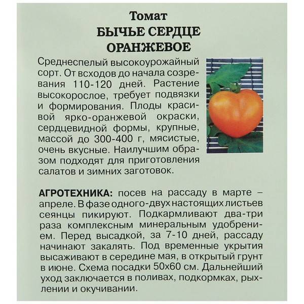 Самые урожайные сорта томатов для теплиц