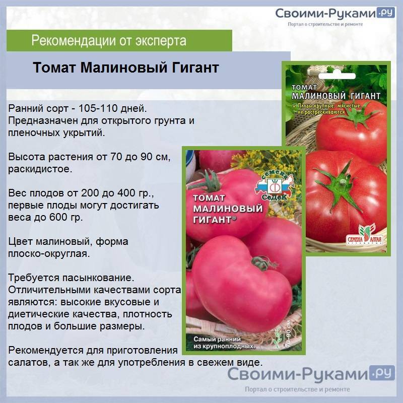 Томат "малиновое чудо": описание, характеристики сорта, особенности ухода русский фермер