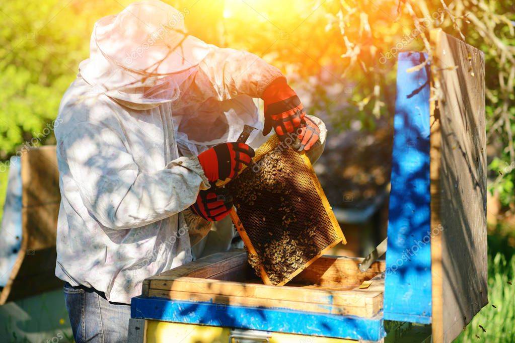 Летние работы на пасеке | пчеловодство выходного дня
