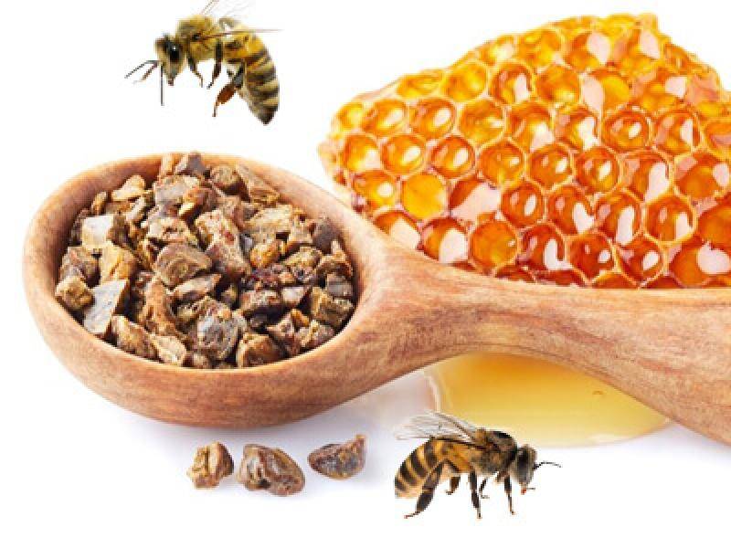 Продукты пчеловодства при выпадении волос