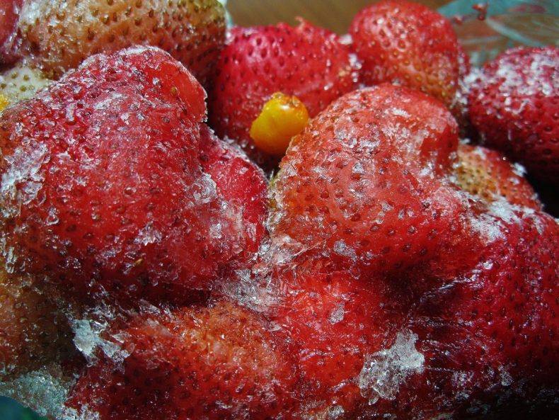 Свежая клубника круглый год — как правильно заморозить впрок любимую ягоду