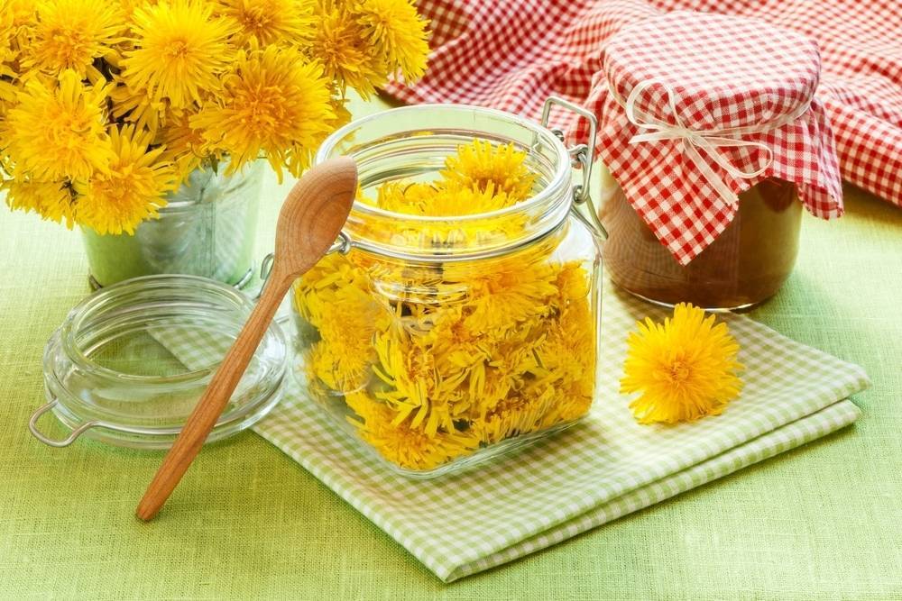 Мёд из одуванчиков: 15 рецептов для приготовления в домашних условиях
