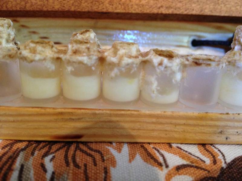 Срок годности маточного молочка пчелиного. правильное хранение маточного молочка