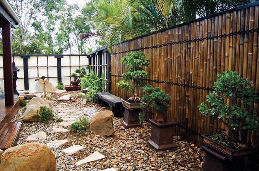 Как ухаживать за бамбуком и выращивать его на садовом участке