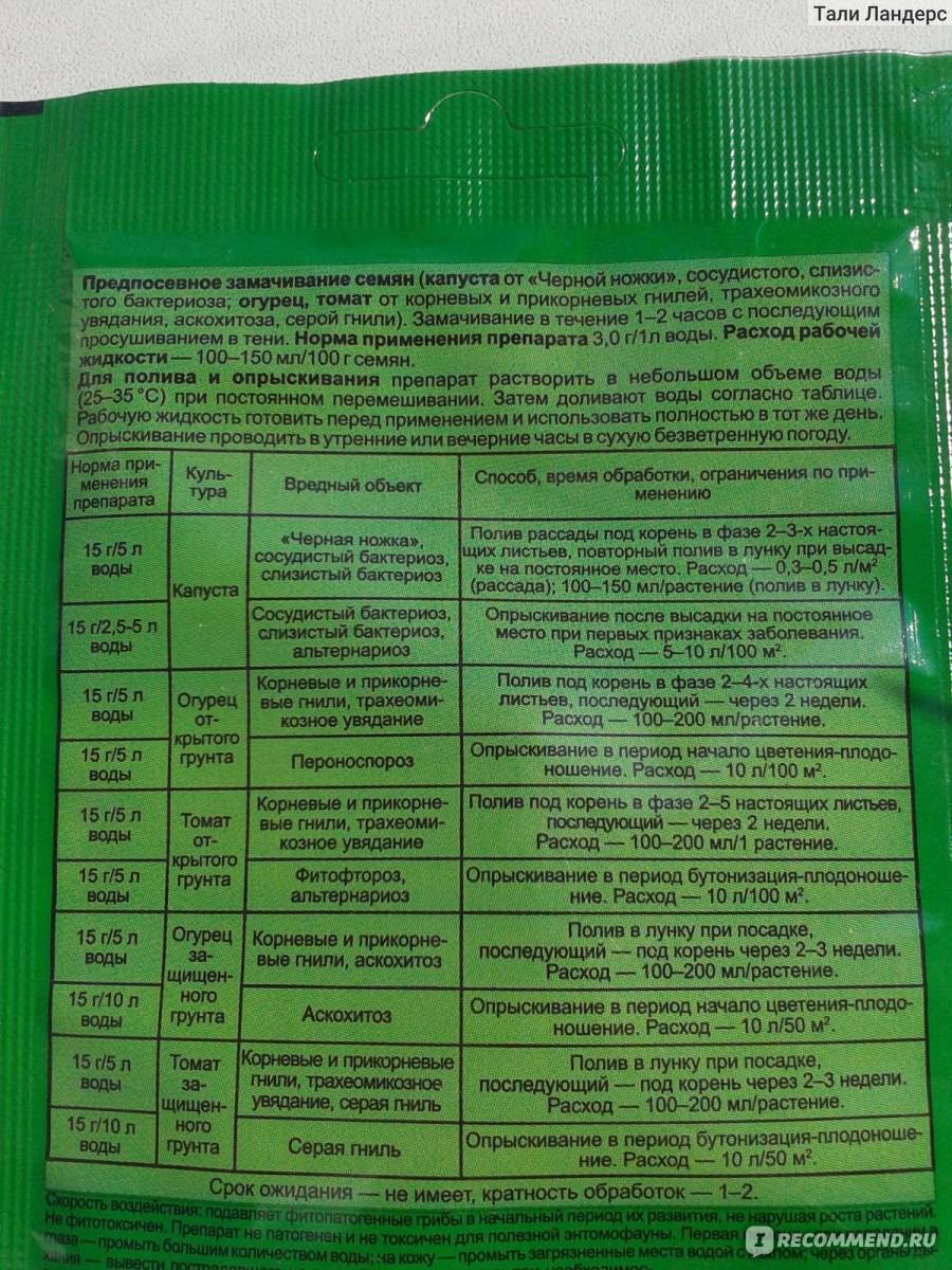 Фитоспорин: инструкция по применению, отзывы, когда обрабатывать