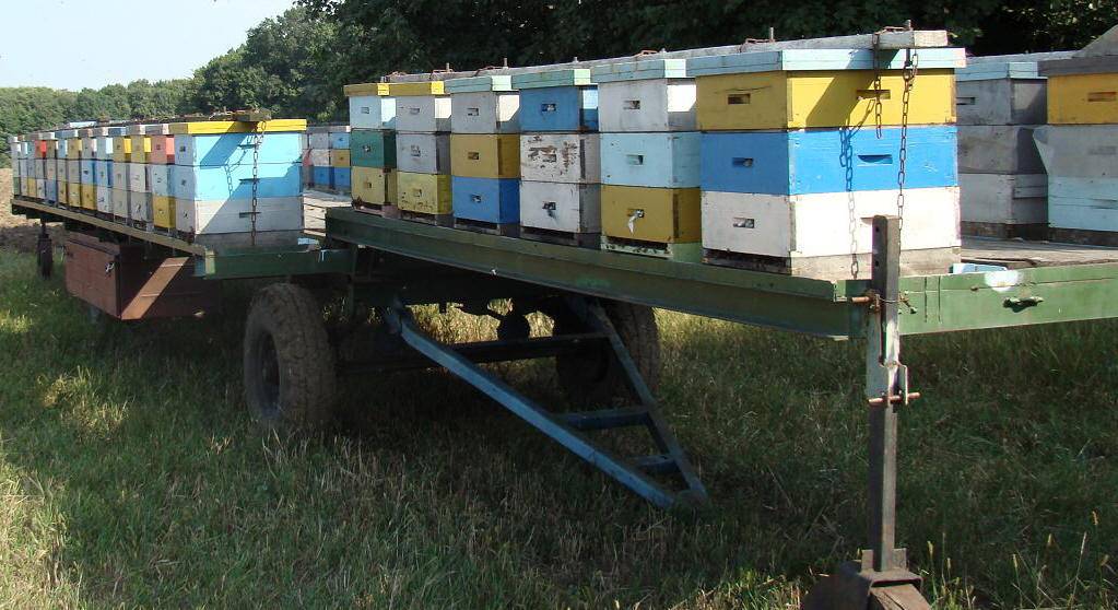 Обзор прицепов пчеловодов для легковых автомобилей