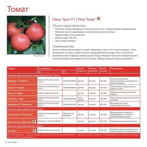 Сорт томатов пинк, описание, характеристика и отзывы тех, кто сажал, а также особенности выращивания, фото