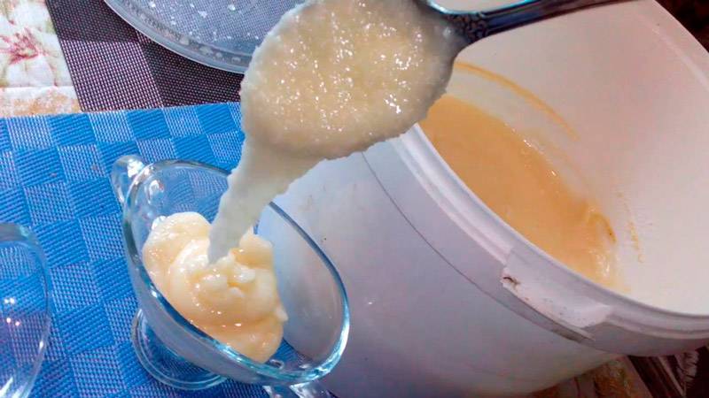 Описание, полезные свойства и противопоказания диморфантового меда