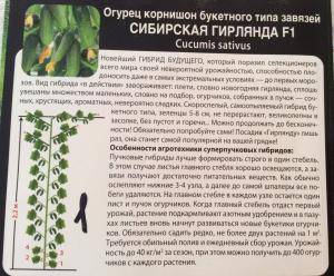 Огурец сибирская гирлянда f1: описание сорта, отзывы, фото, урожайность, посадка и уход