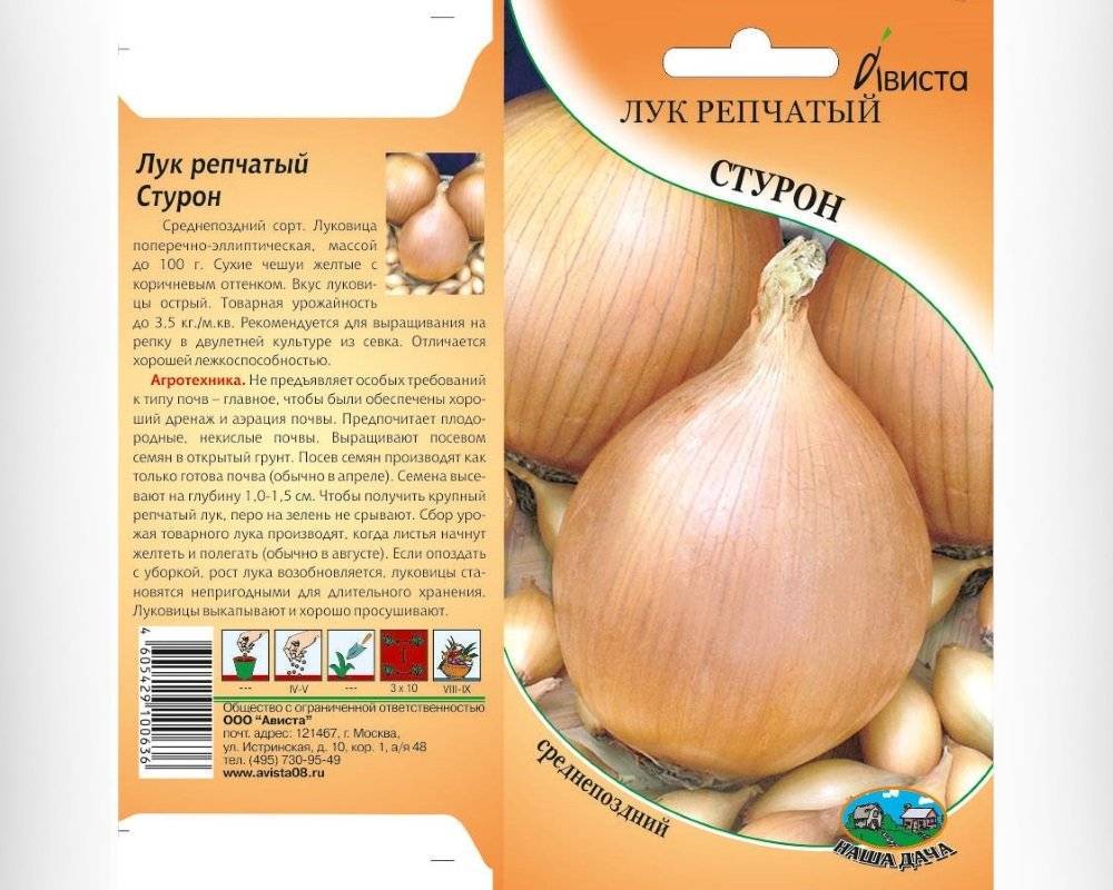 Лук сорта шетана: характеристика и описание сорта, выращивание и уход, фото