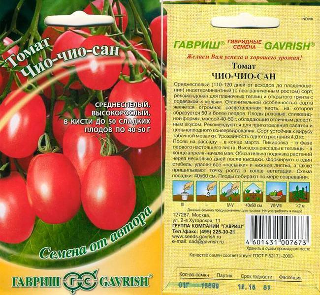 Как ухаживать за томатом «спрут сливка» в открытом грунте и теплице