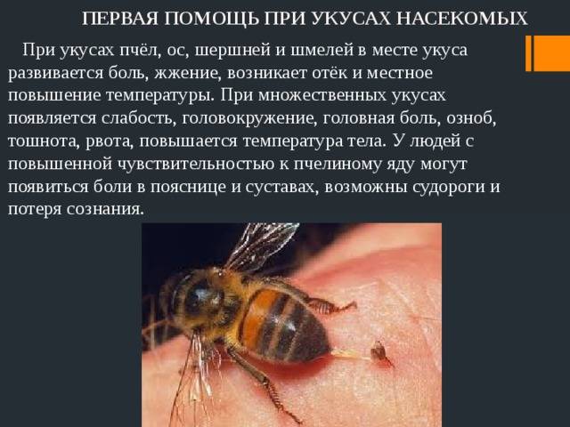 Аллергия на укусы насекомых. | уокцсвмп им. е. м. чучкалова