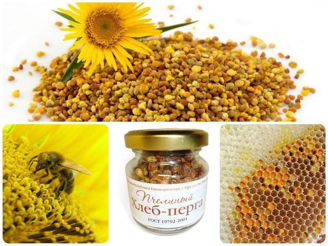 Как смешать цветочную пыльцу с мёдом для получения максимального эффекта