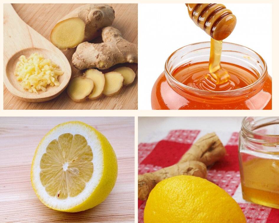 Польза и вред имбиря с лимоном для организма