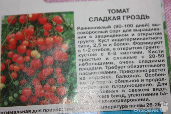 Вкусный, маленький, размером с виноград — томат красная гроздь: полное описание сорта