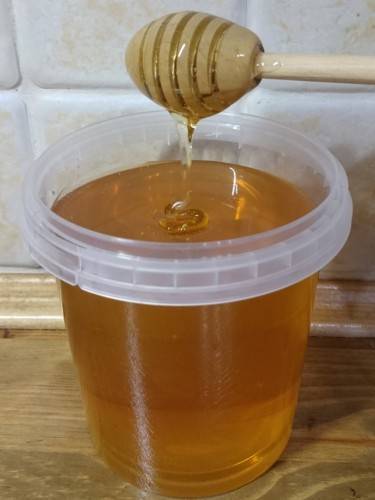 Клеверный мёд: описание. состав. полезные свойства. рецепты