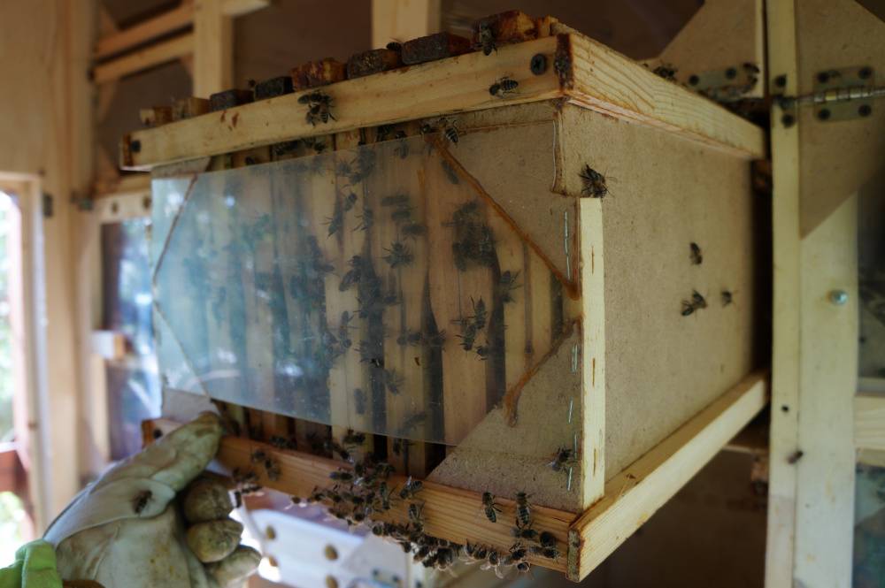 ✅ кассетное пчеловодство: павильон для пчёл своими руками (чертежи) - tehnoyug.com