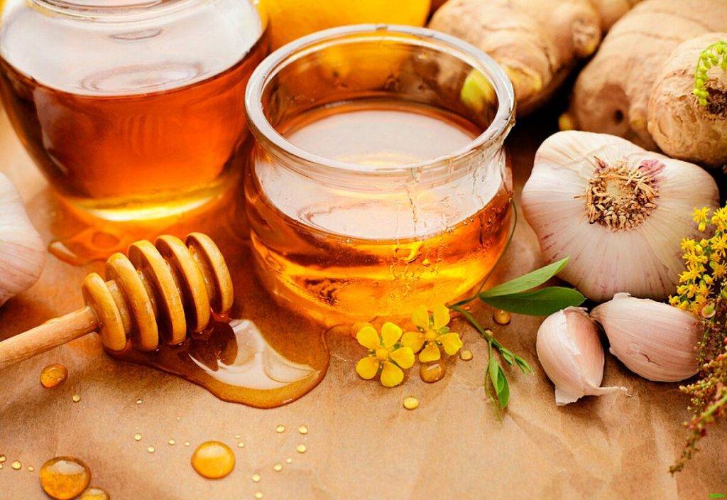 Мед с чесноком польза и вред рецепты