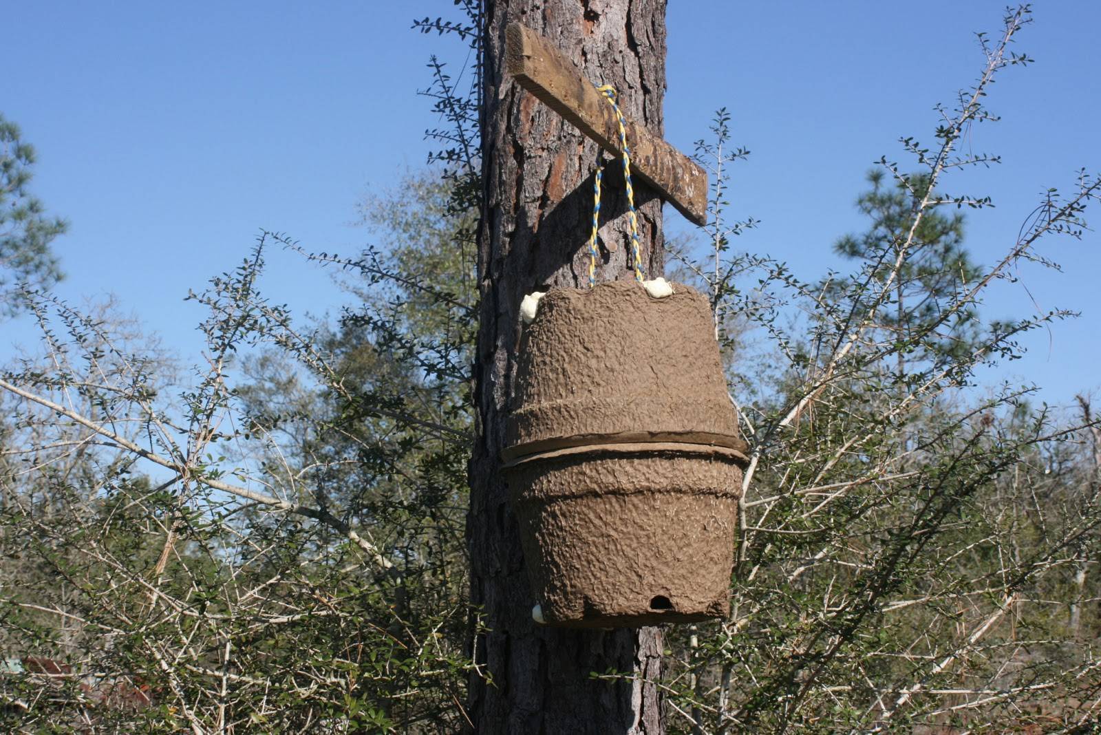 Ловушка для пчел своими руками: чертежи, размеры рамок и корпуса.