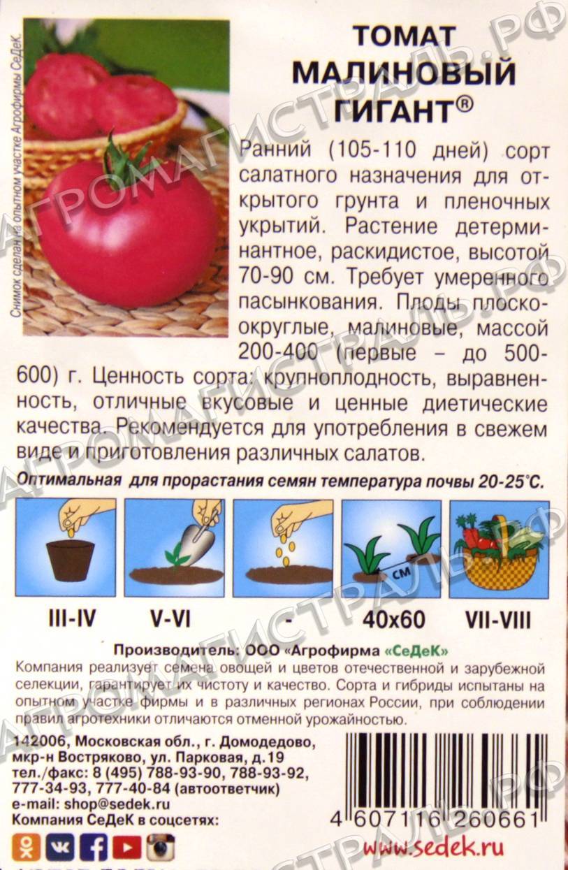 Томат малиновый мясистый: характеристика и описание сорта - сообщество садоводов и огородников