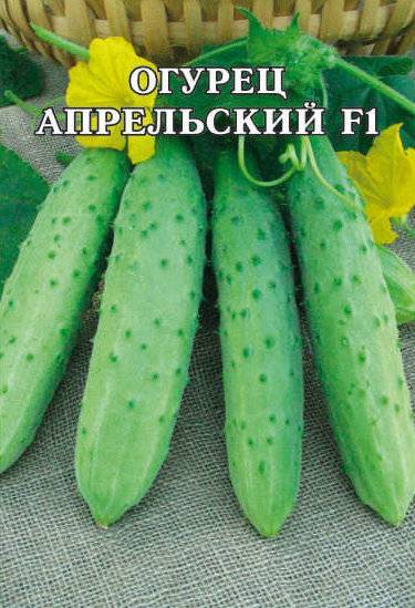 Огурец апрельский f1: характеристика, описание и выращивание сорта