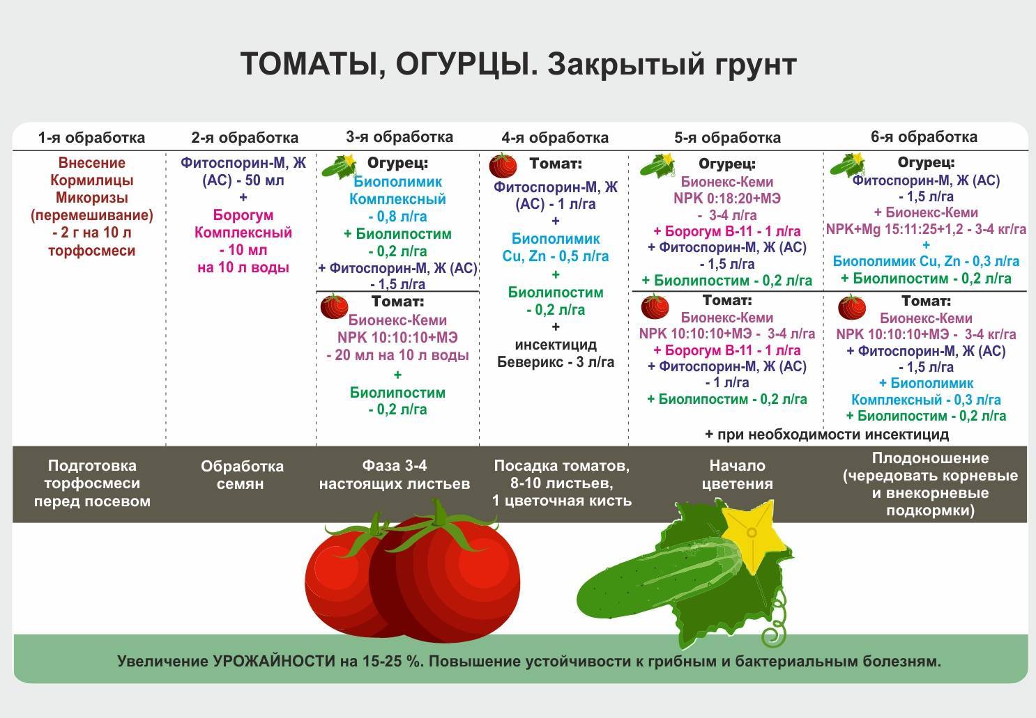Помидорные страдания: 7 аспектов получения хорошего урожая томатов