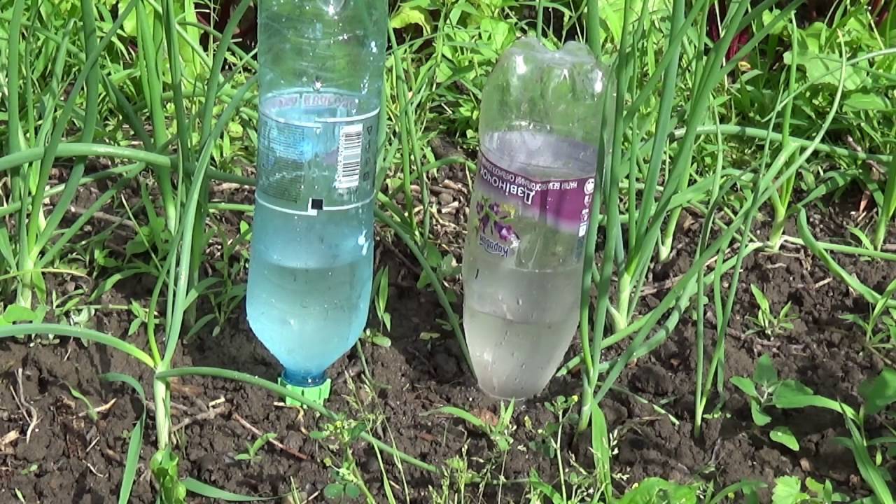 Как сделать полив из пластиковой бутылки