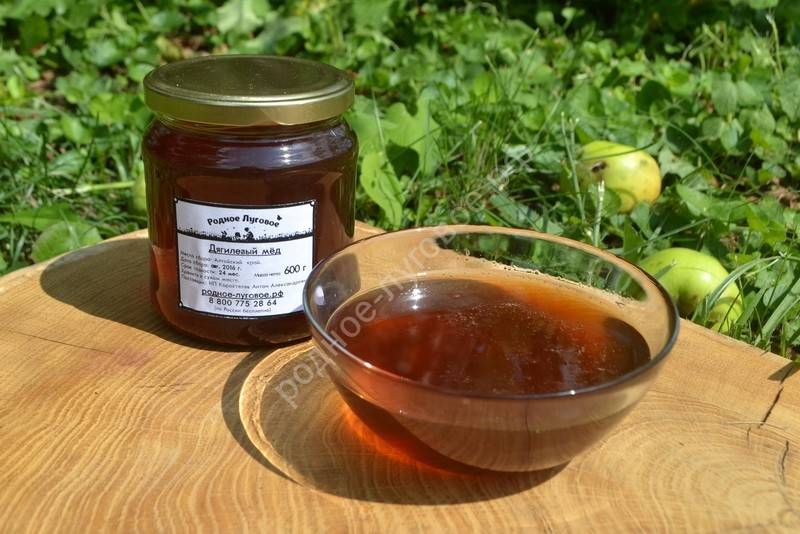 Дягилевый мед – средство от простуды с изысканным вкусом