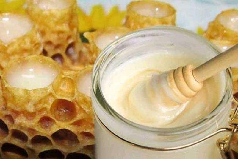 Пчелиное маточное молочко: польза и вред, как принимать