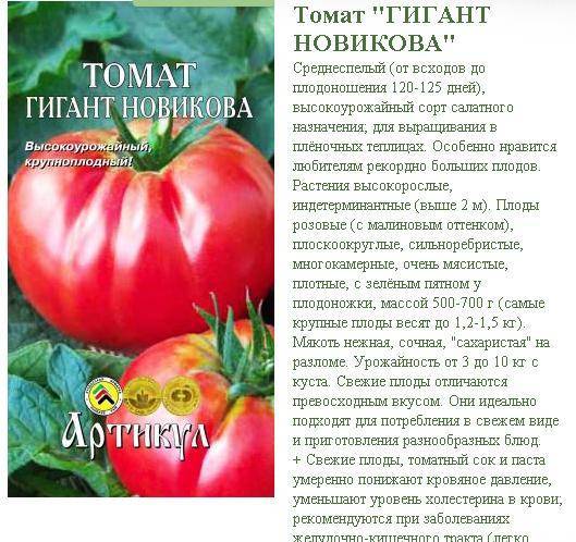Описание крупноплодного томата Гигант Новикова и агротехника выращивания