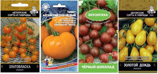 Томат златовласка: описание сорта, отзывы, фото, урожайность | tomatland.ru